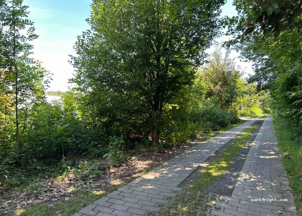 (04565) Regis-Breitingen - Unnamed Road — foto