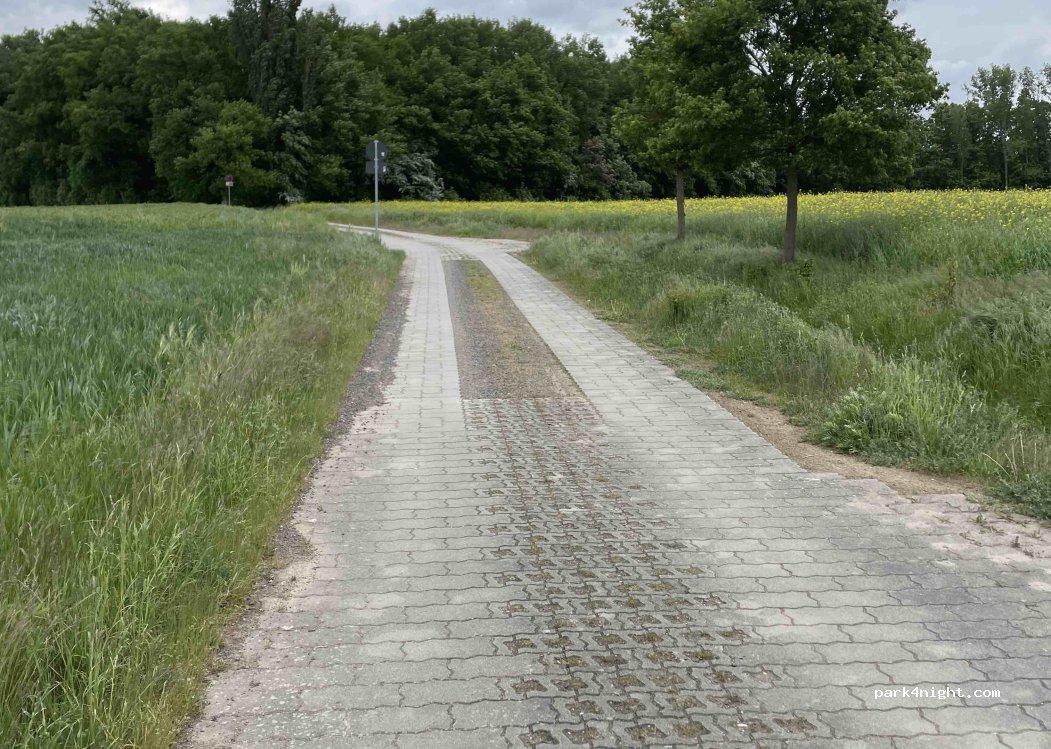 (04565) Regis-Breitingen - Unnamed Road — foto 5