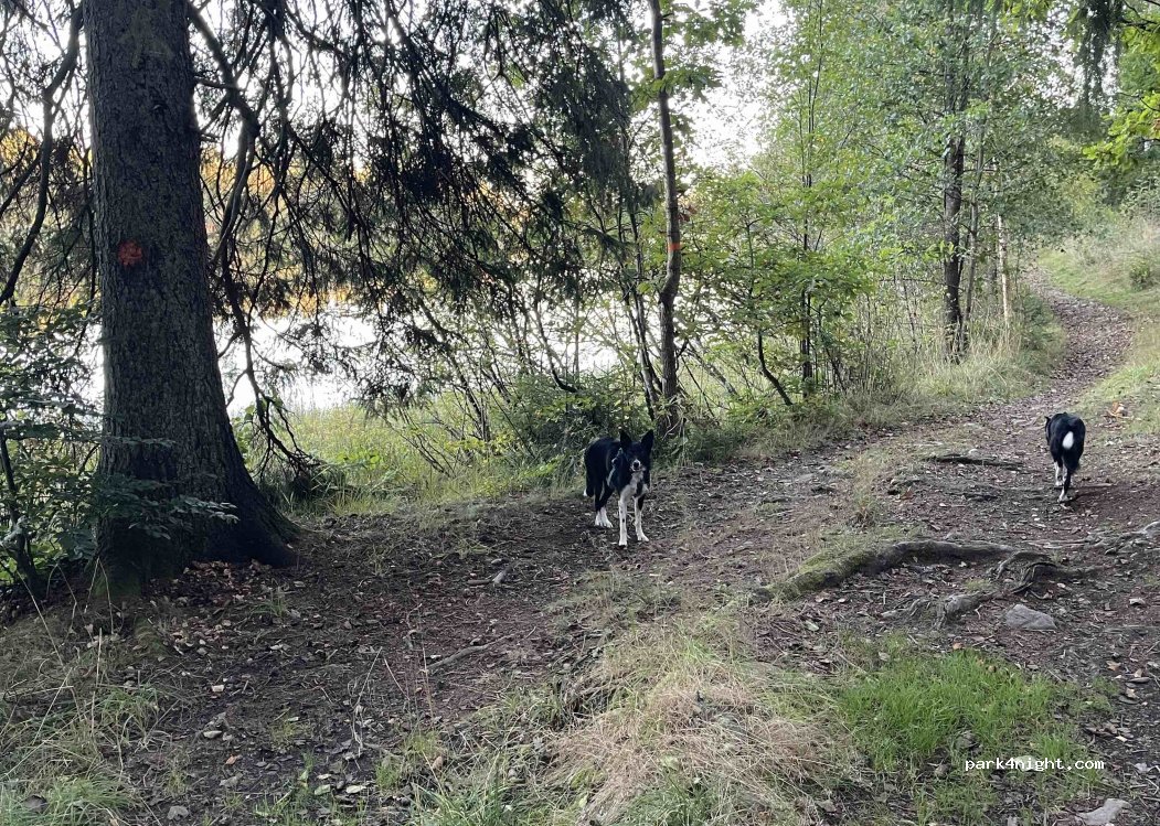 (468 31) Vargön - — foto 5