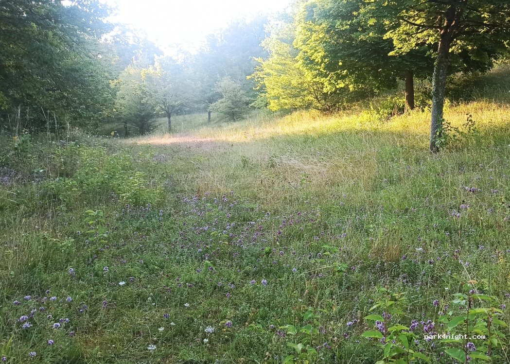 (10190) Fontvannes - A5 — foto 2
