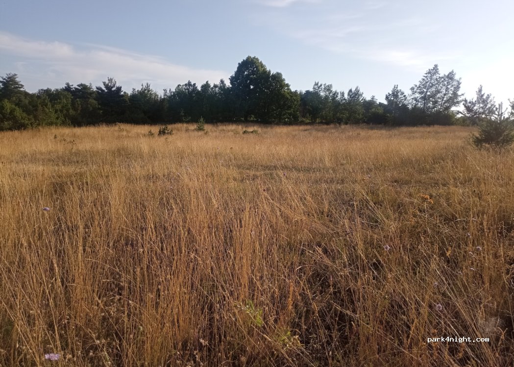 (48210) La Malène - — foto 2