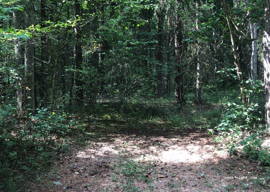(2150) Sigulda - — foto