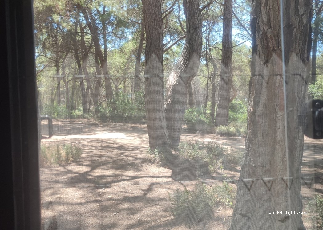 (07600) Sorgun - — foto