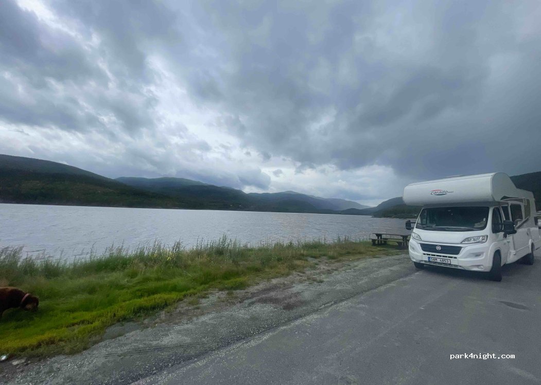 (3539) Flå - 155 Gulsvikvegen — foto