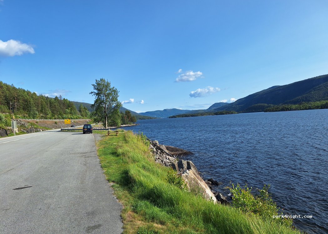(3539) Flå - 155 Gulsvikvegen — foto 2
