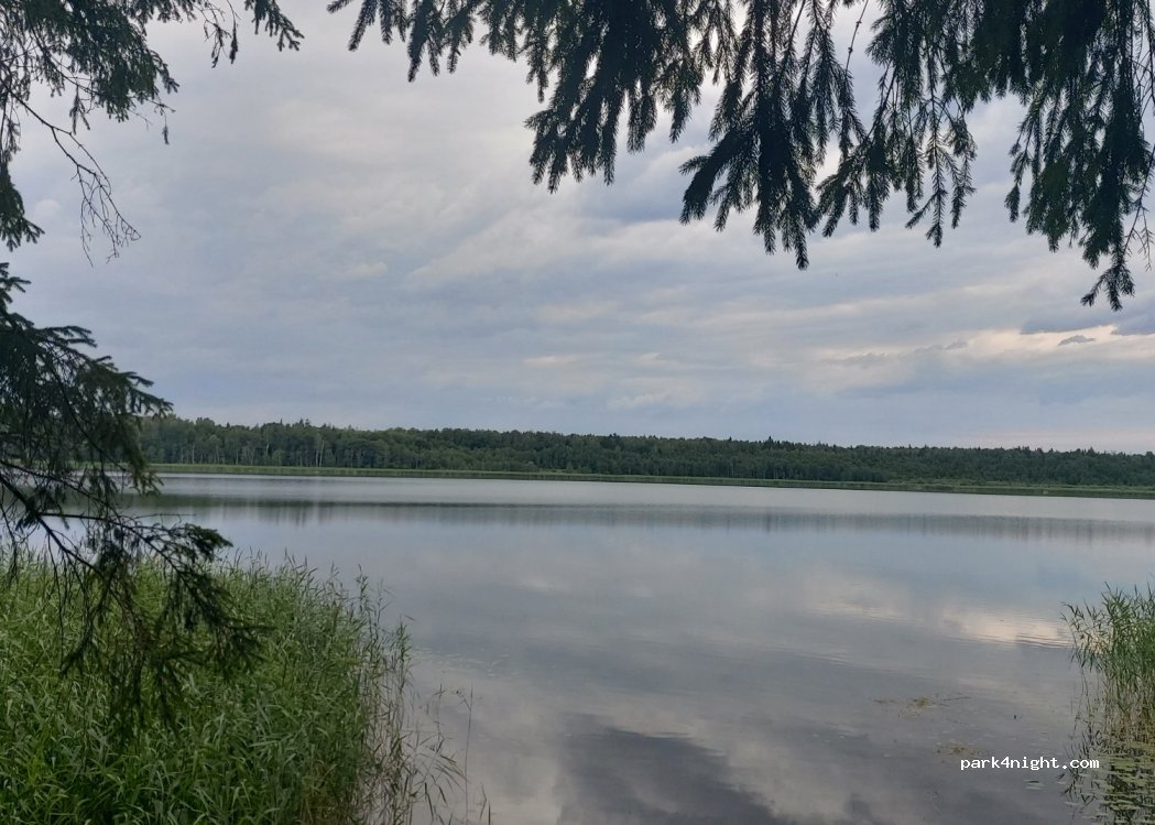 (32316) Pasartė - Unnamed Road — foto