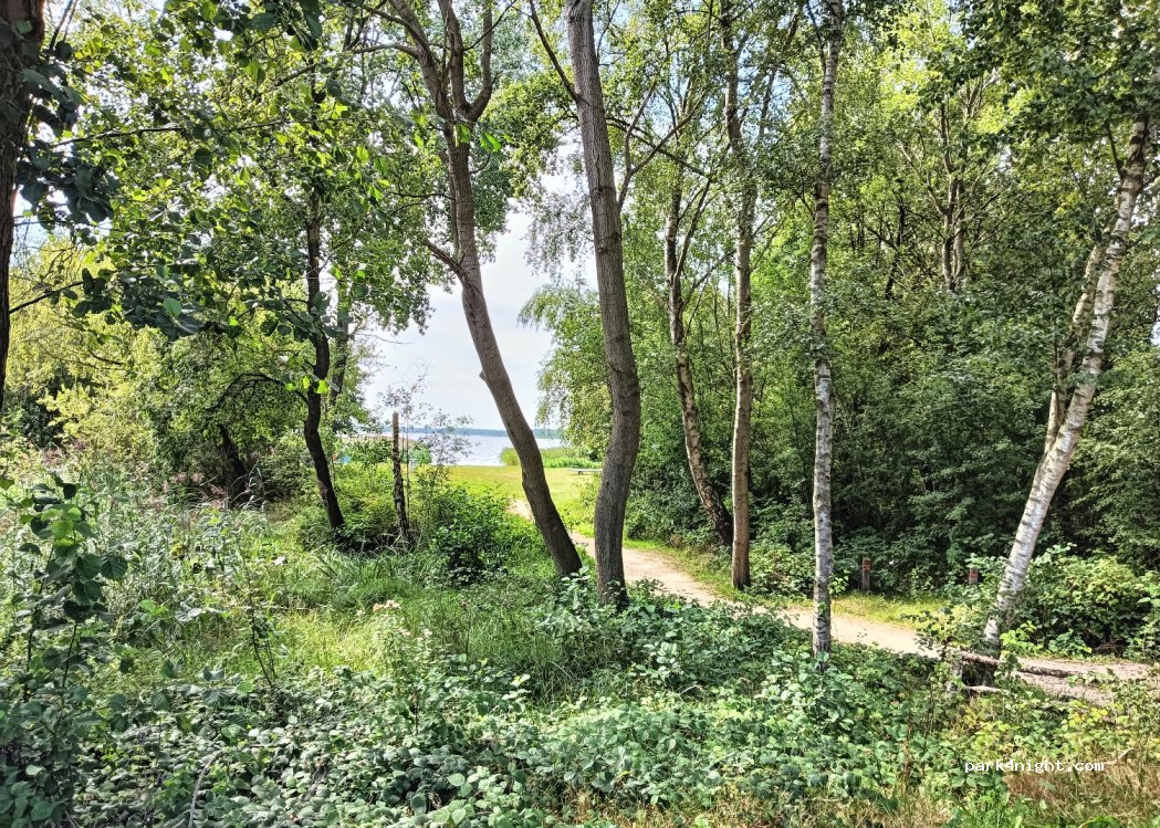 (9606 PR) Kropswolde - 6 Strandweg — foto 3