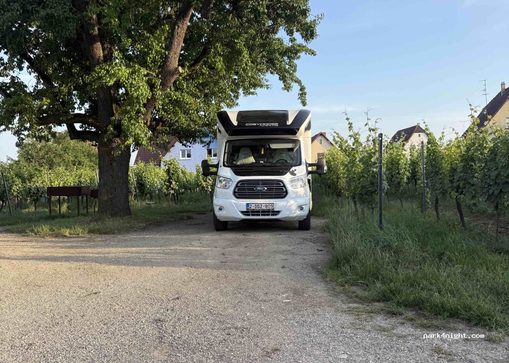 Ostertag Hurlimann — foto 3