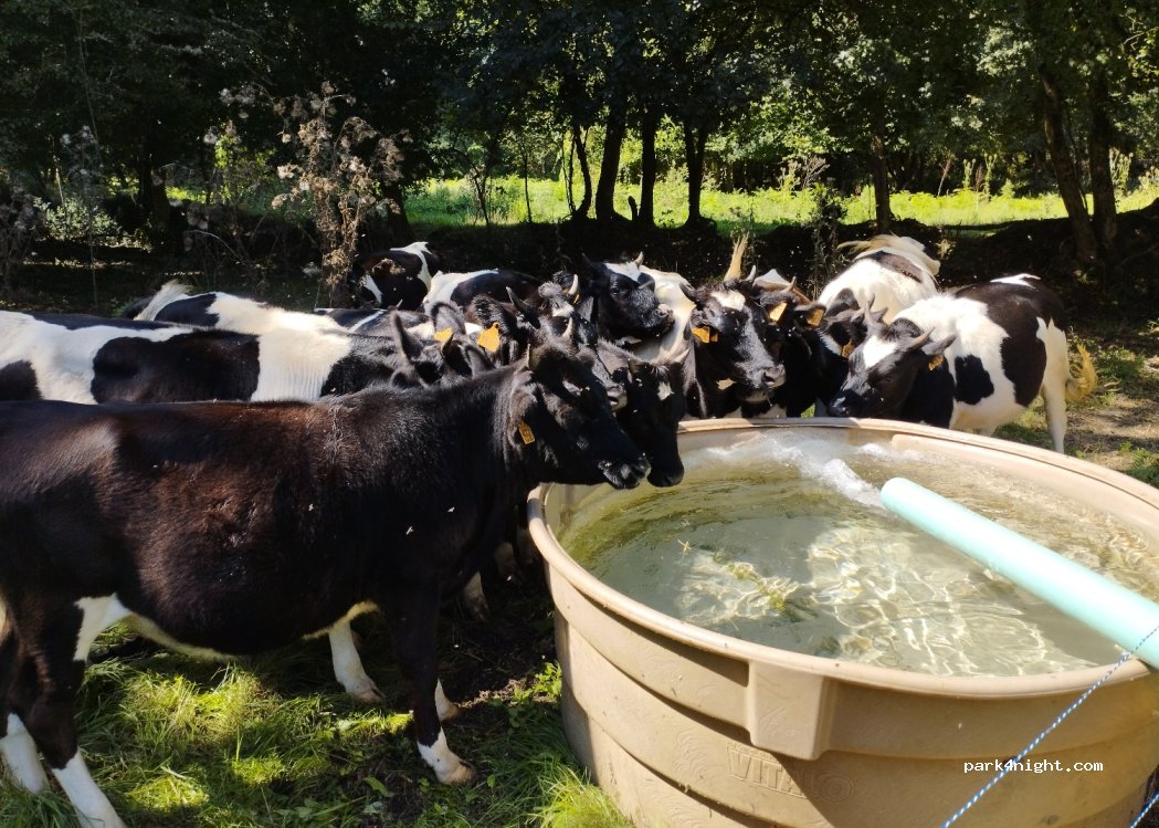 Ferme fromagère de Suscinio — foto 4