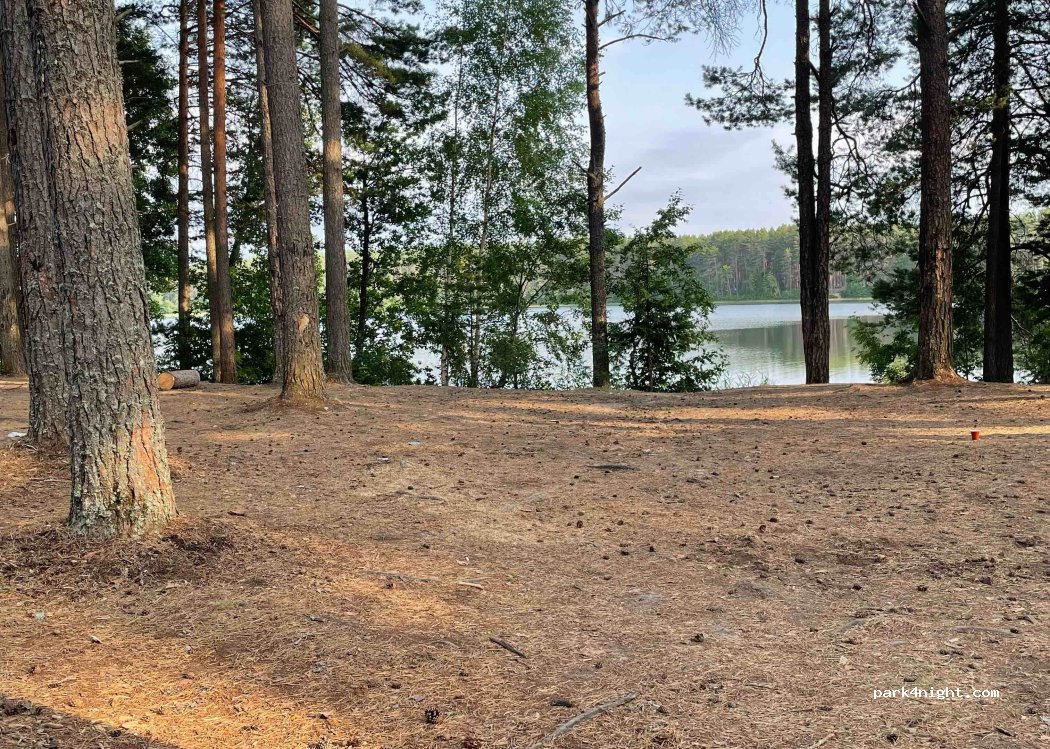 (172757) Tverdyakino - — foto