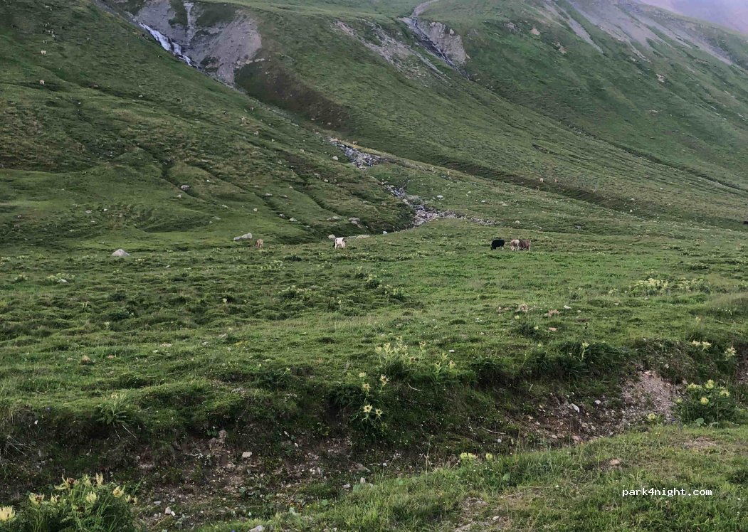 (7522) La Punt-Chamues-ch - Albulapass — foto