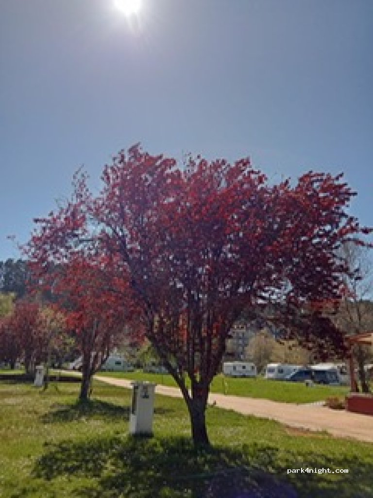 Camping Playa Sauces — foto 2