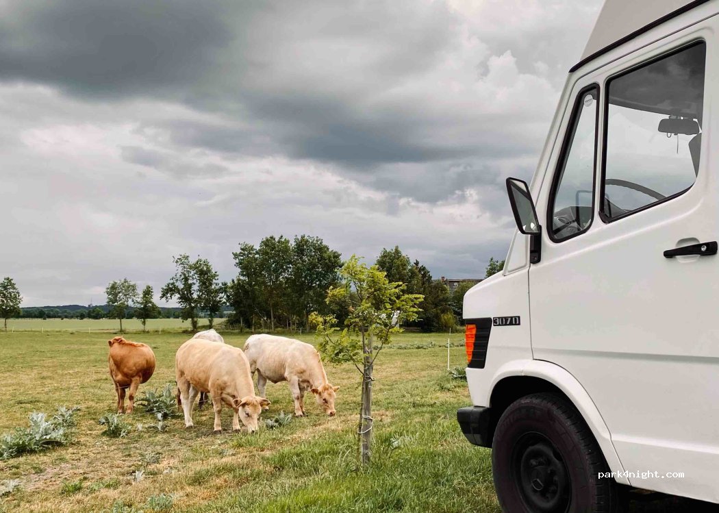 Landhof Schmergow | Wohnmobilstellplatz mit Weideblick — foto 4