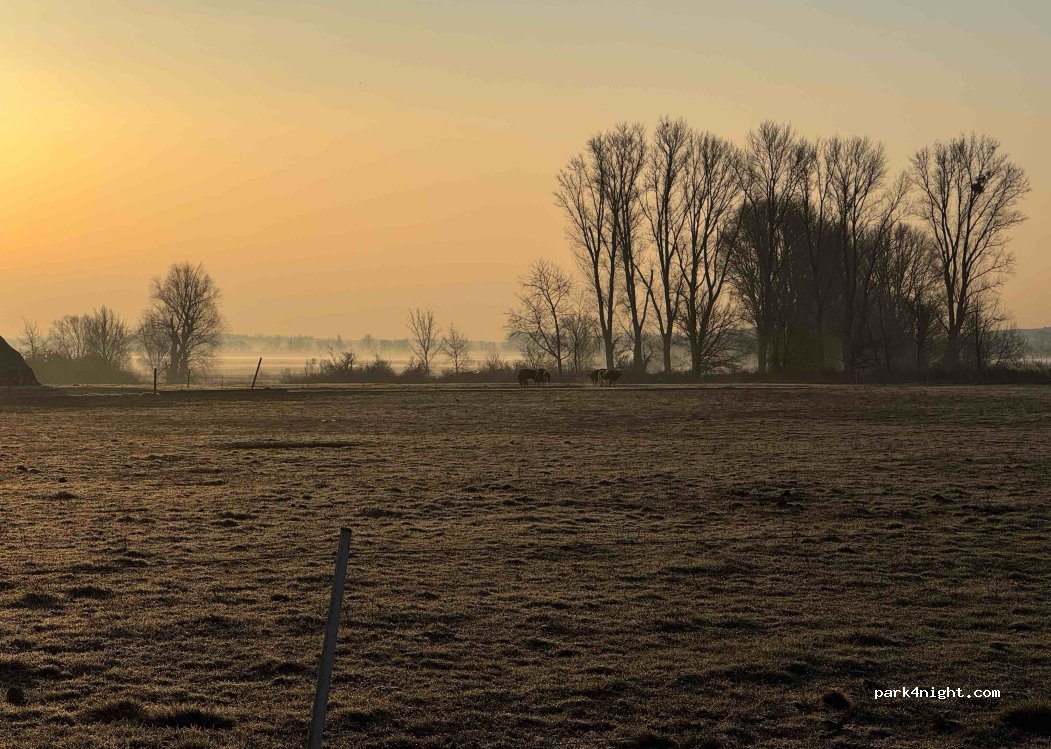 Landhof Schmergow | Wohnmobilstellplatz mit Weideblick — foto 5