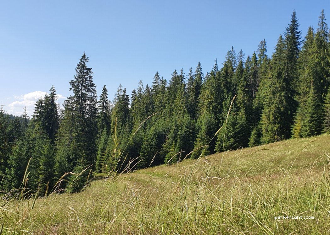 (34) Bukowina Tatrzańska - Unnamed Road — foto