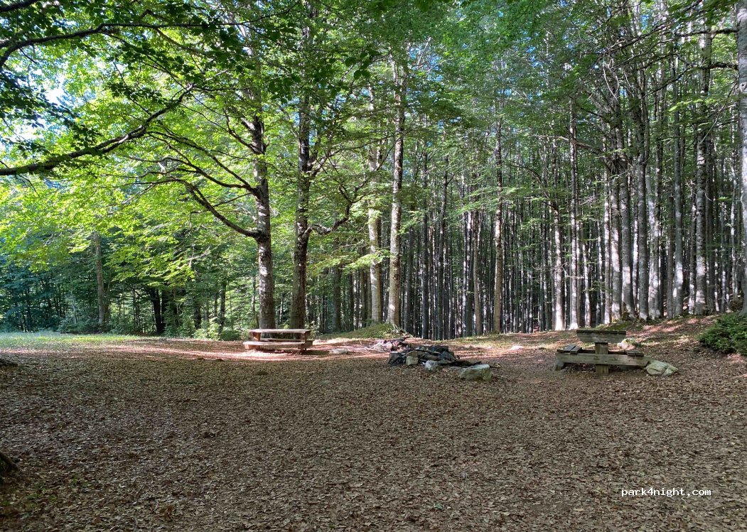 (87050) Serra Pedace - Strada delle Vette — foto