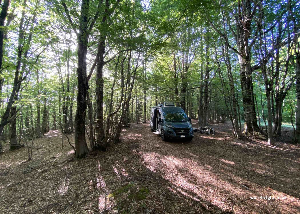 (87050) Serra Pedace - Strada delle Vette — foto 2