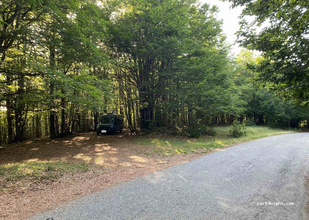 (87050) Serra Pedace - Strada delle Vette — foto 3