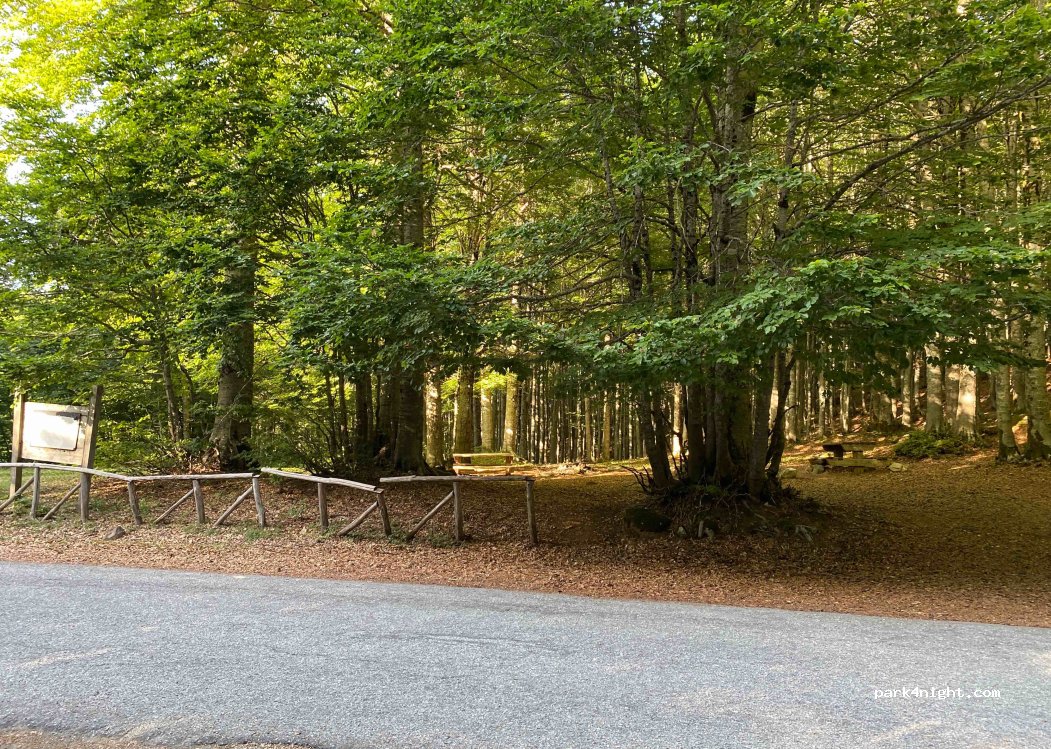 (87050) Serra Pedace - Strada delle Vette — foto 4