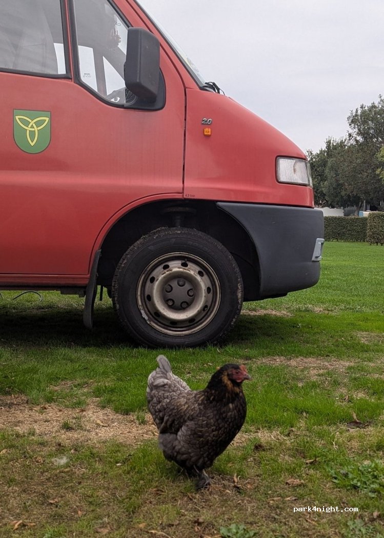 Kampeerboerderij de Boskeelen — foto 5