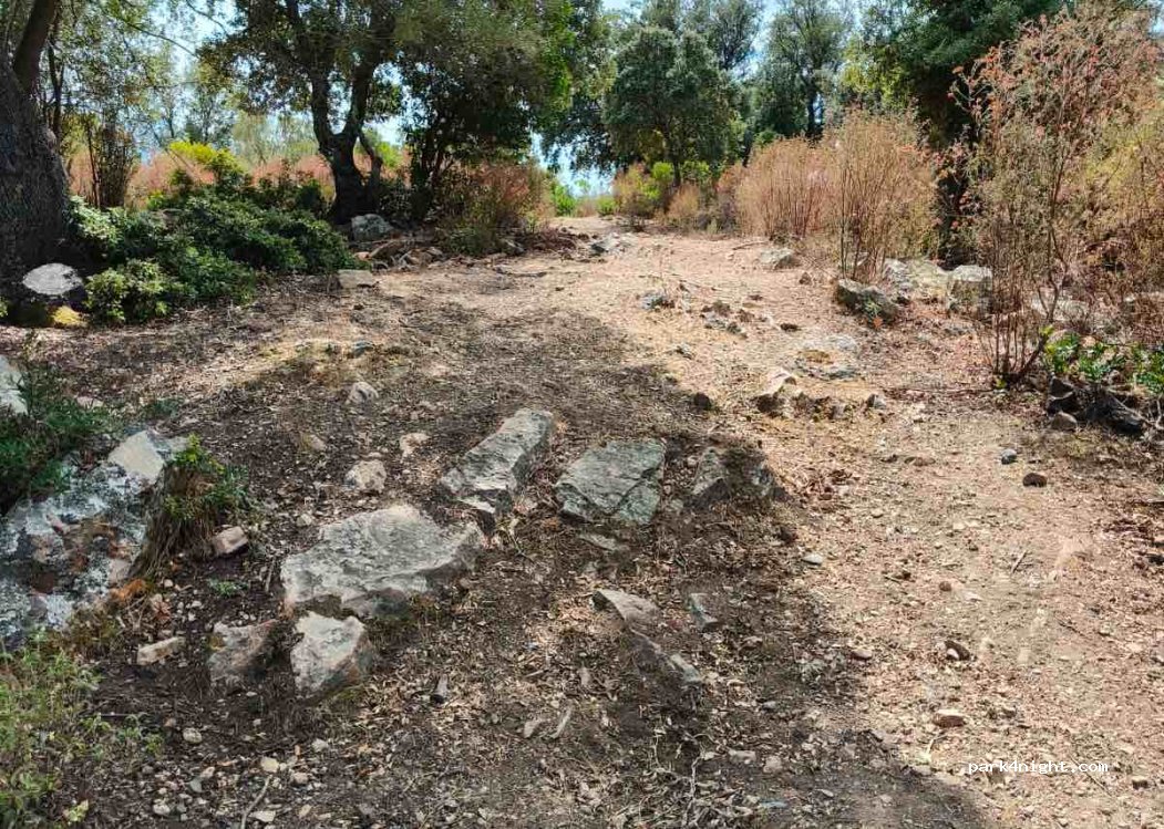 (20147) Osani - Unnamed Road — foto 5