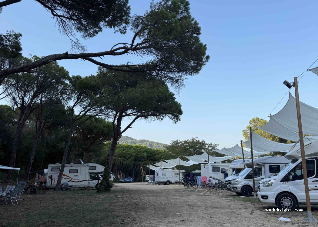 Camping Turismar — foto 5