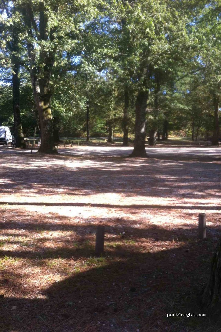 (37290) Bossay-sur-Claise - 606 La Chillionnerie (Etang de la Ribaloche) — foto