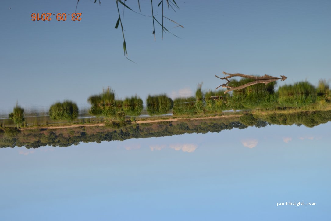 (36290) Saint-Michel-en-Brenne - Cherine — foto