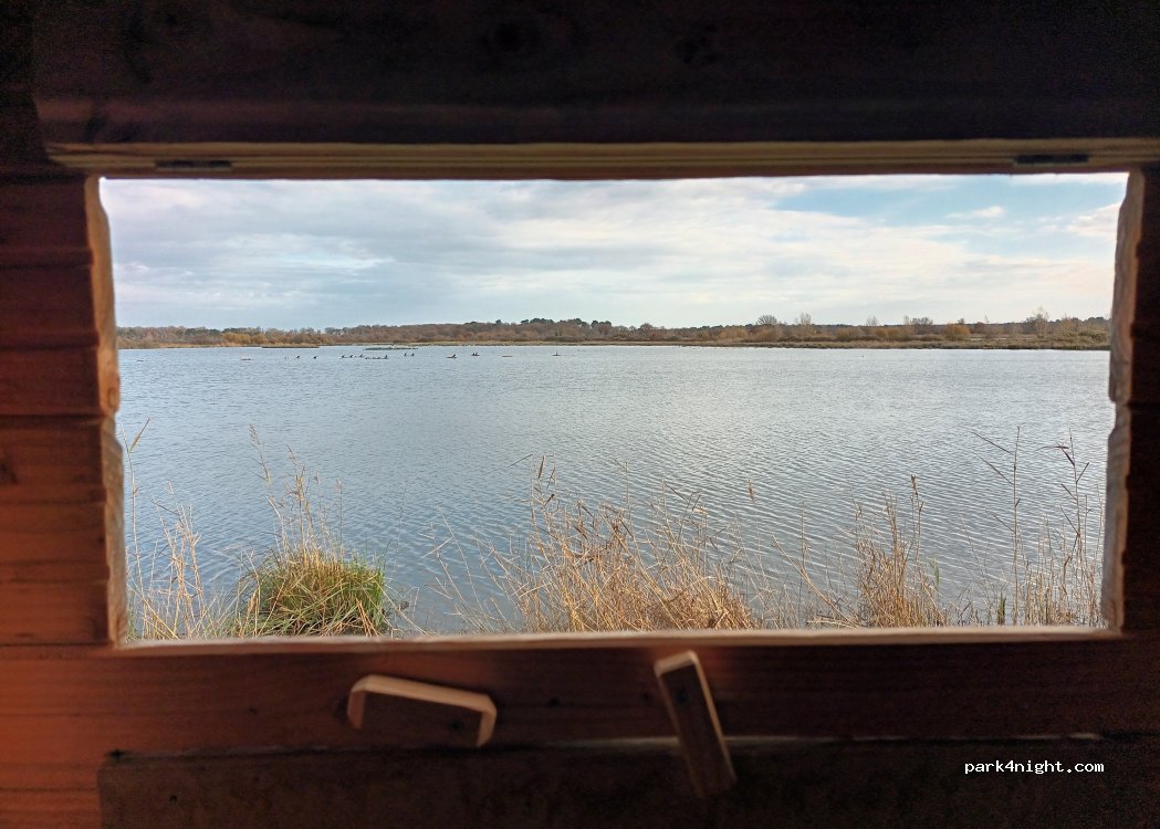 (36290) Saint-Michel-en-Brenne - Cherine — foto 2