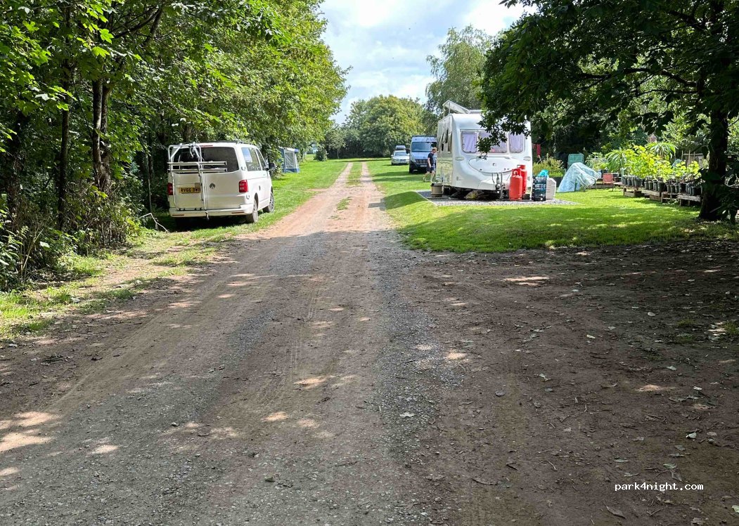 Aunemouth Camping — foto 2