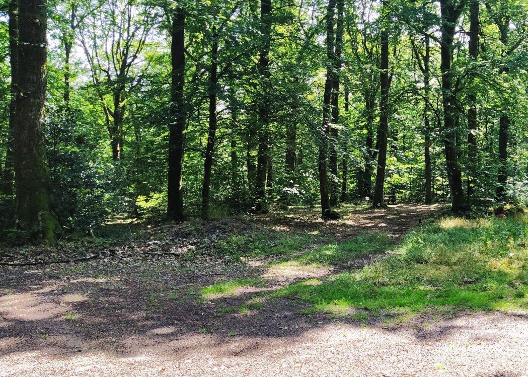 (89630) Quarré-les-Tombes - Unnamed Road — foto 2