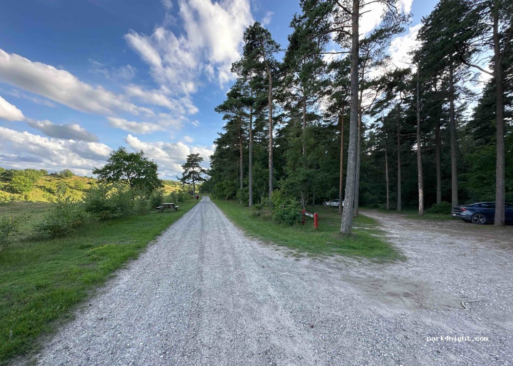 (8420) Knebel - Mols Bjerge Vej — foto