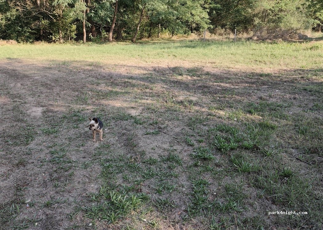 (515801) Lancrăm - — foto 2