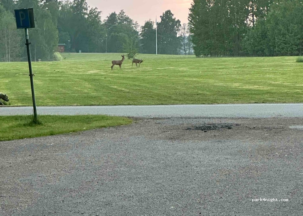 (691 51) Karlskoga - 19 Sommarvägen — foto 4