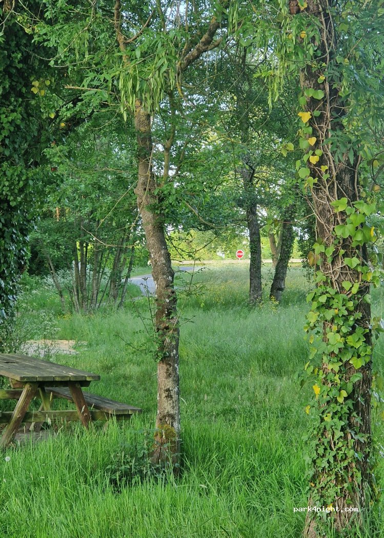 () Vallons-de-L'Erdre - — foto 4