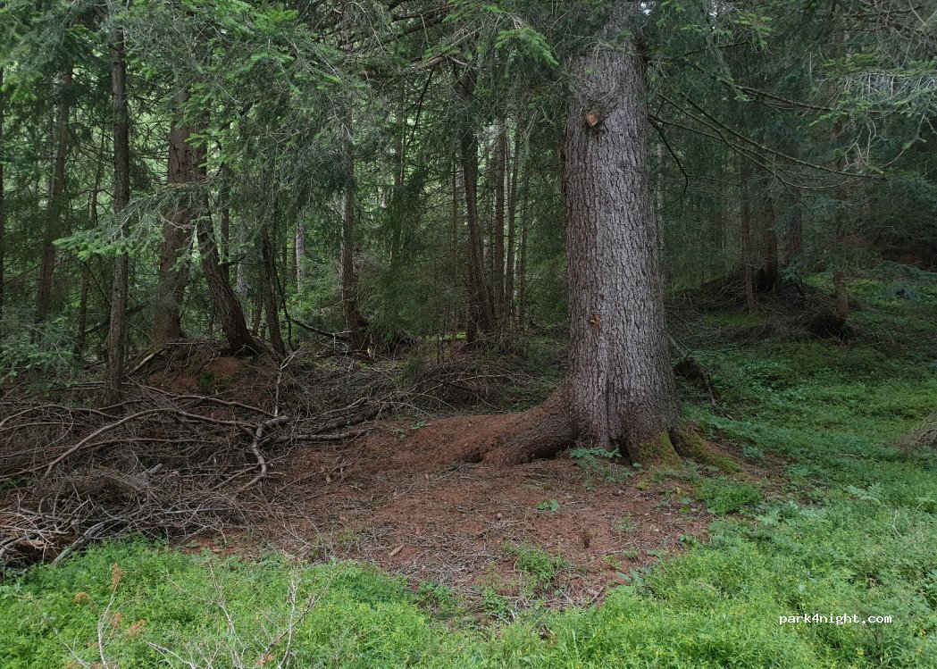 (39049) Pfitsch - Unnamed road — foto 2