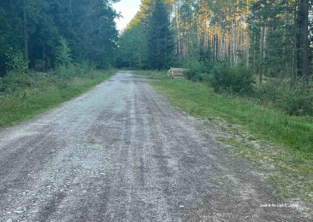 (98693) Ilmenau - — foto 3