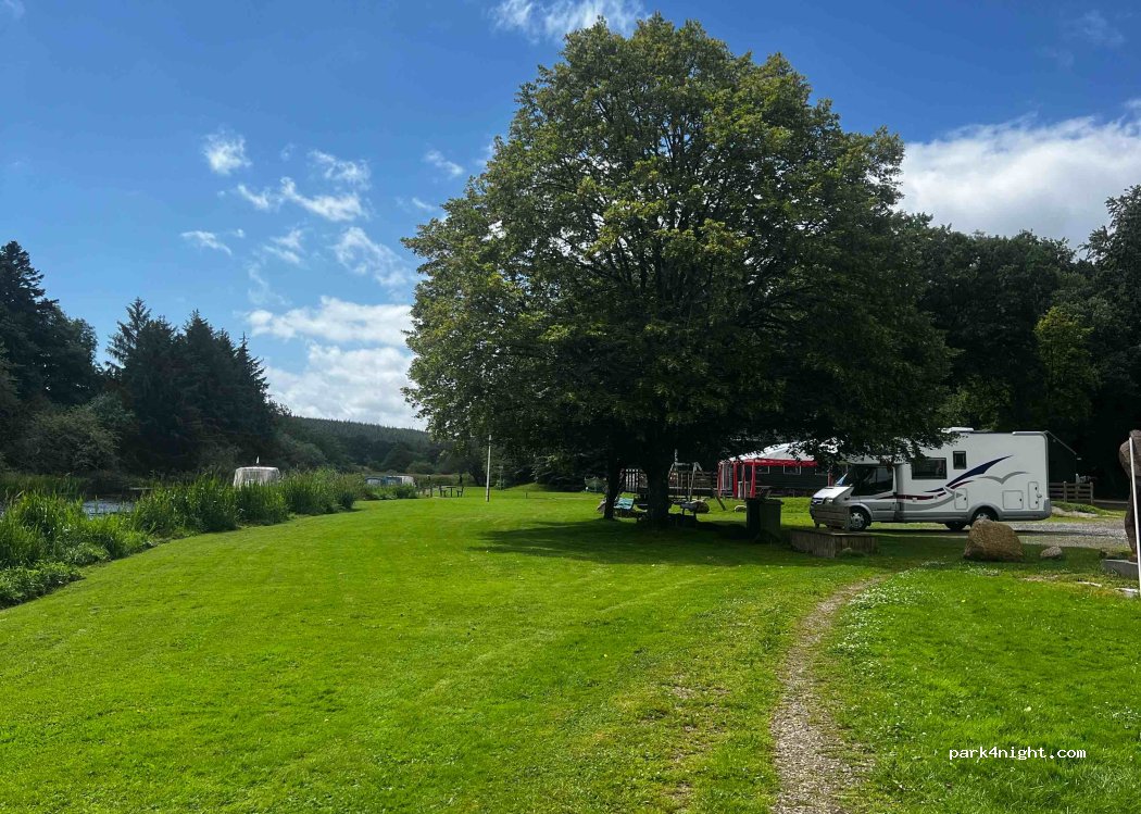 (8870) Langå - 18 Skovalle — foto 2