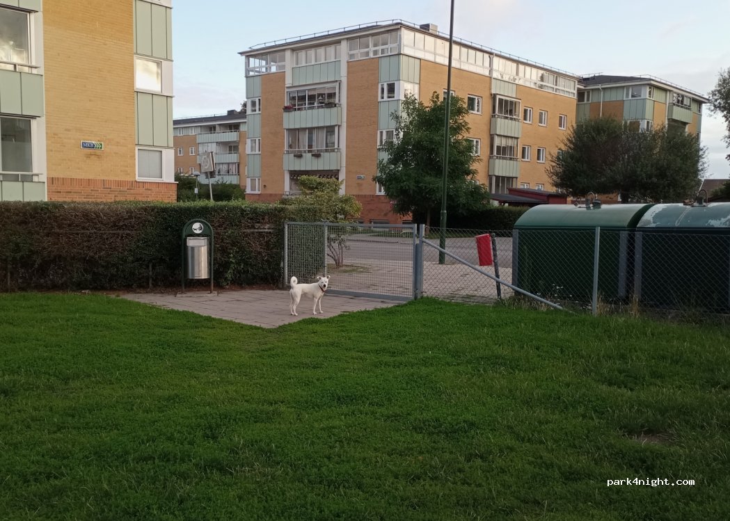 (216 11) Malmö - 7A Polgatan — foto 3