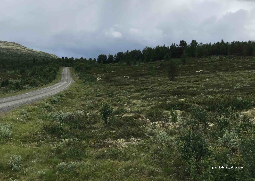 (2658) Espedalen - Peer Gyntvegen — foto
