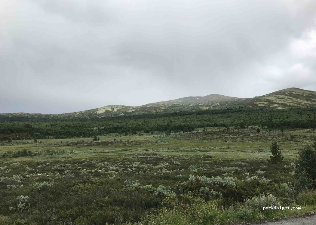 (2658) Espedalen - Peer Gyntvegen — foto 2