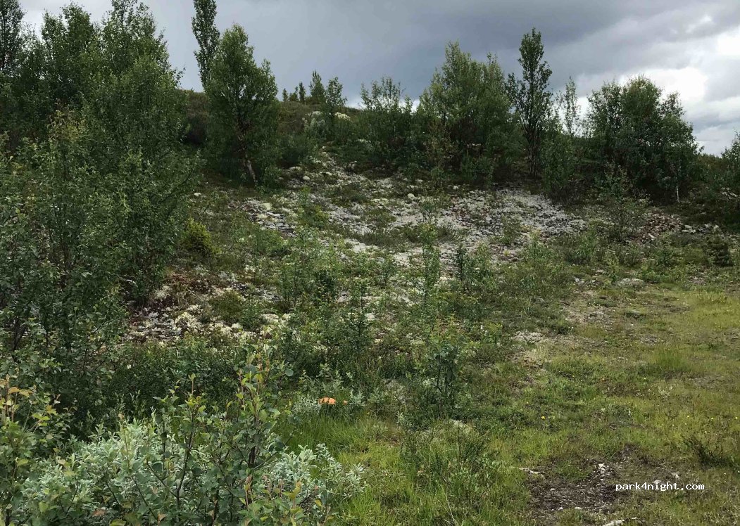 (2658) Espedalen - Peer Gyntvegen — foto 3