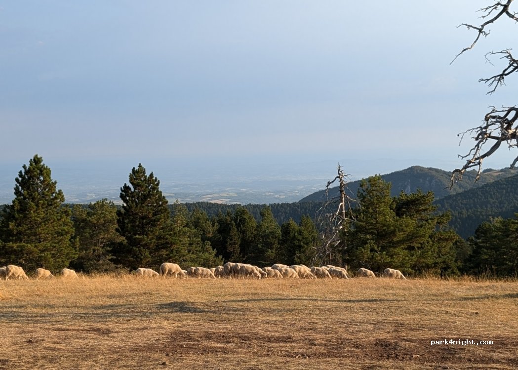 () Divčibare - — foto 3