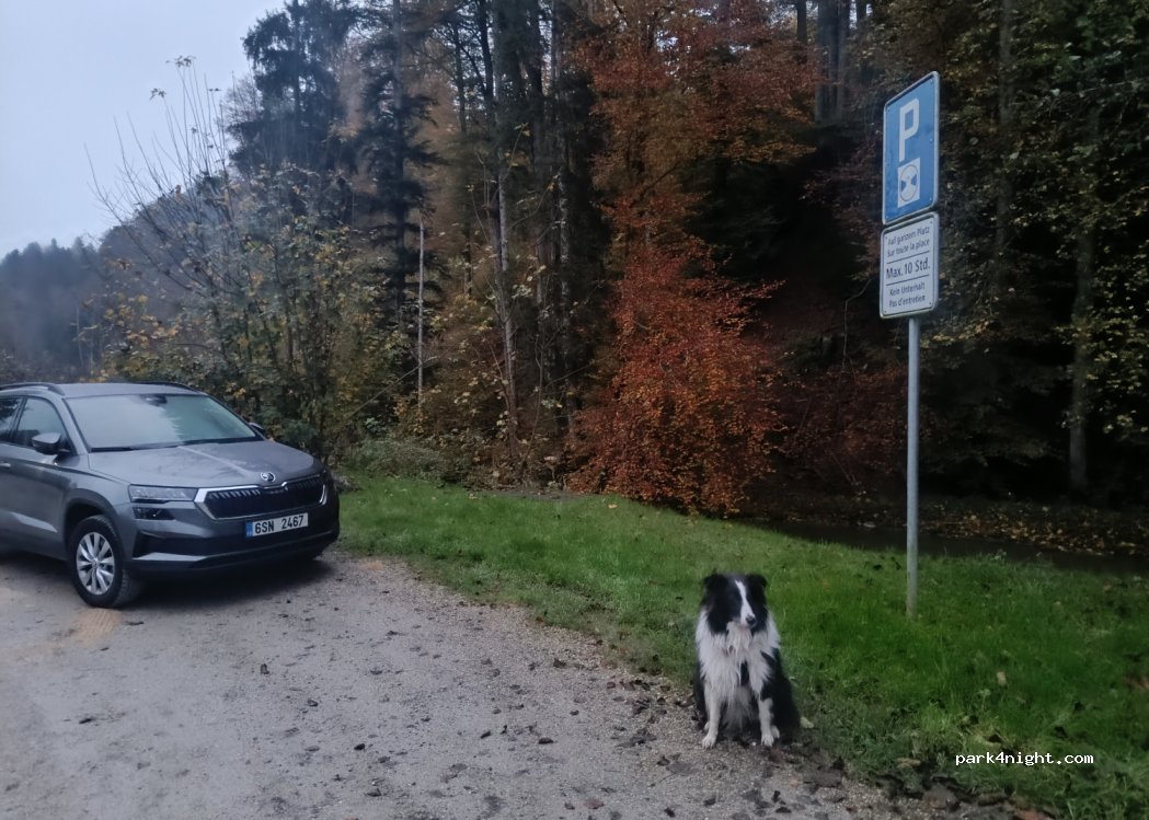 () Wünnewil-Flamatt - 12 — foto 5