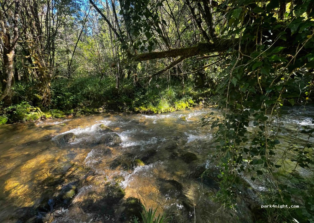 Domaine de la Fraite — foto 3