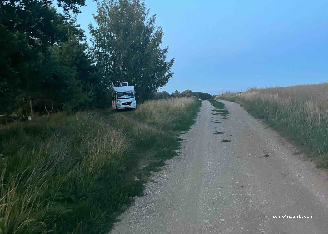 (39449) Pajiešmeniai - — foto