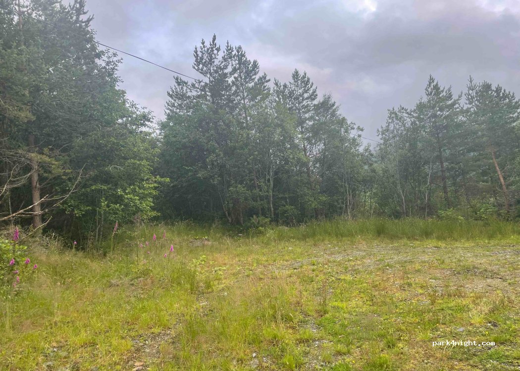 (6490) Steinsgrenda - Unnamed Road — foto