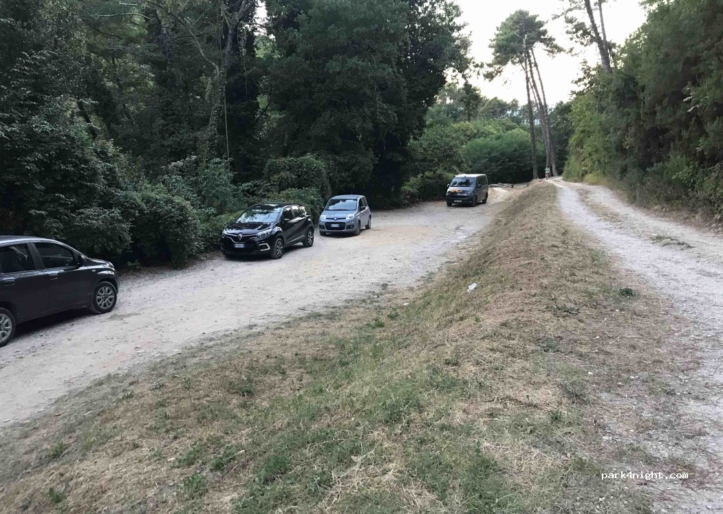 (55012) Capannori - — foto
