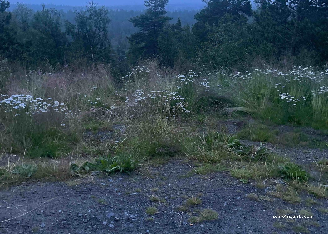 (8255) Røkland - 1 E6 — foto