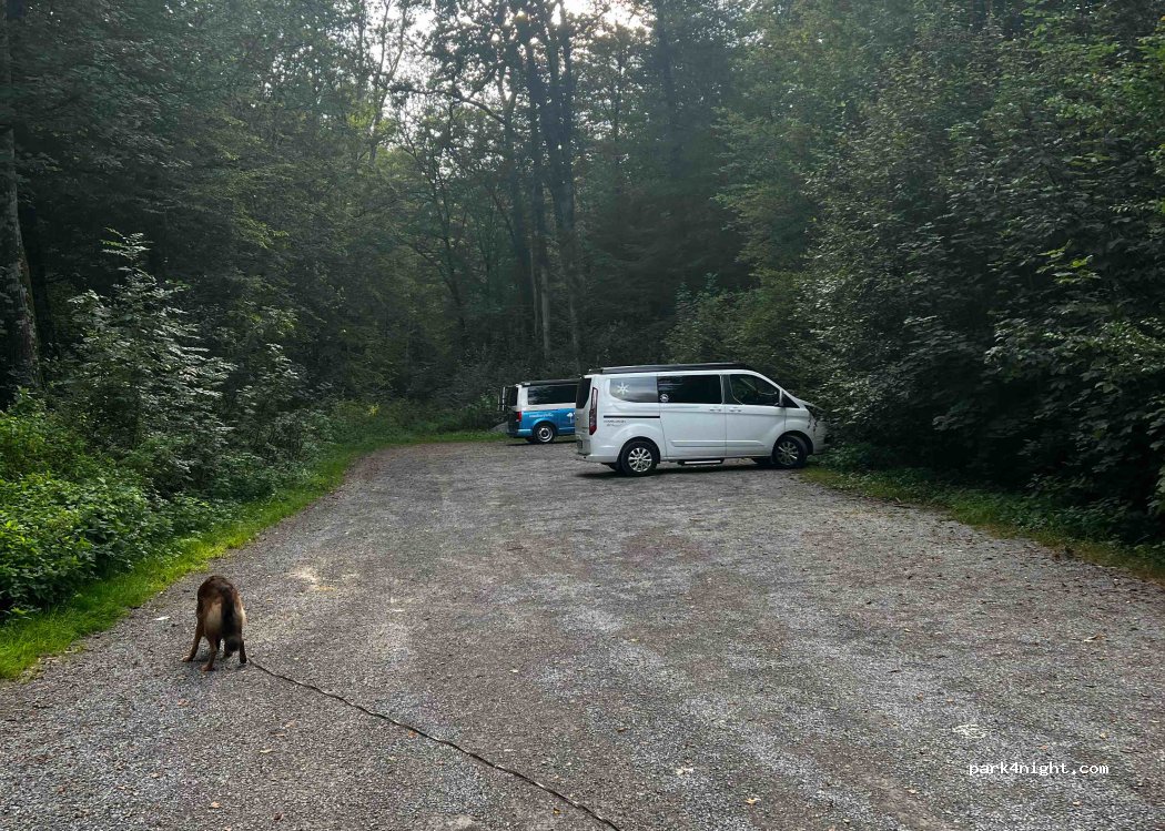 (71139) Ehningen - Unnamed Road — foto
